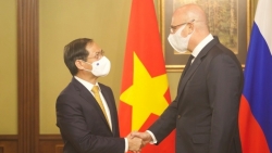 Глава МИД Вьетнама и вице-премьер России обсудили реализацию будущих направлений сотрудничества