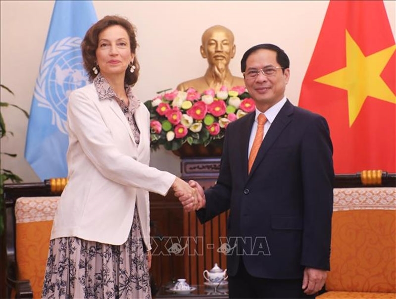 Министр иностранных дел Буй Тхань Шон принял Генерального директора ЮНЕСКО