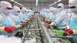 Экспорт морепродуктов из Вьетнама в Россию резко вырос с августа