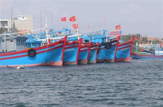 Усилия по снятию «желтой карточки» ННН: работа по предотвращению проникновения рыболовных судов в иностранные морские районы