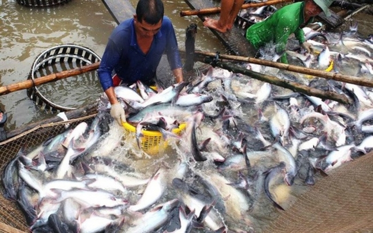 Общий объем вылова рыбы достиг 6,75 млн. тонн за 9 месяцев