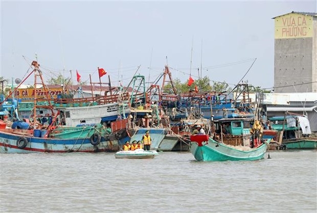 Патруль провинции Баклиеу для обнаружения рыболовных судов, занимающихся незаконным промыслом