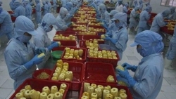 Россия увеличивает объёмы импорта переработанных фруктов и овощей из Вьетнама
