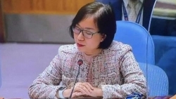 Вьетнам предлагает повысить осведомленность о последствиях ненавистнических высказываний в интернете