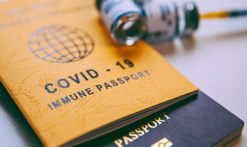 Вице-премьер предложил ускорить признание «вакцинных паспортов»