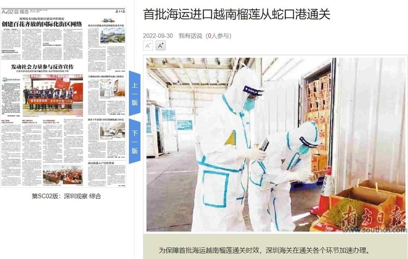 Китайская пресса: вьетнамский дуриан заполняет пробел на рынке