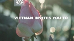 CNN International надеется на продолжение сотрудничества в продвижении туризма во Вьетнаме