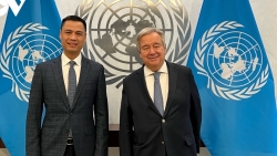 Вьетнам является одним из незаменимых членов ООН