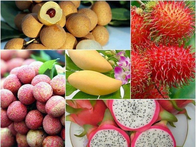 Вьетнам планирует к 2025 году увеличить экспорт фруктов на сумму более 5 млрд. долл. США
