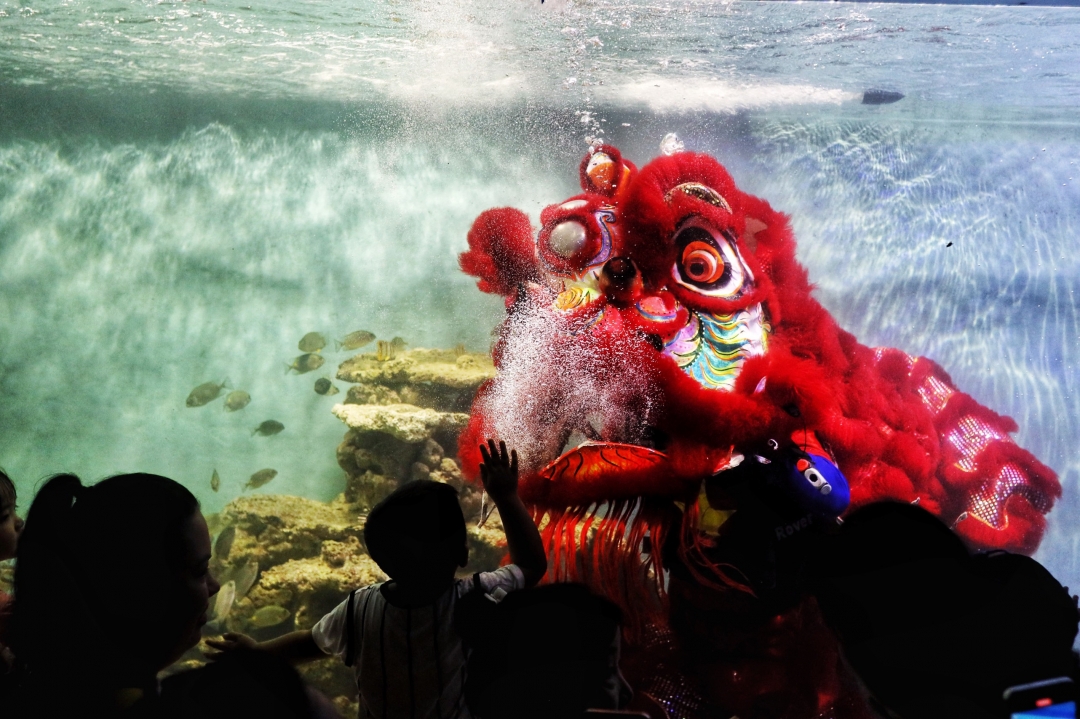 Уникальное представление танца льва под водой в городе Нячанг