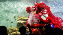 Уникальное представление танца льва под водой в городе Нячанг