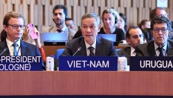 Вьетнам принял участие в 217-й сессии Исполнительного совета ЮНЕСКО