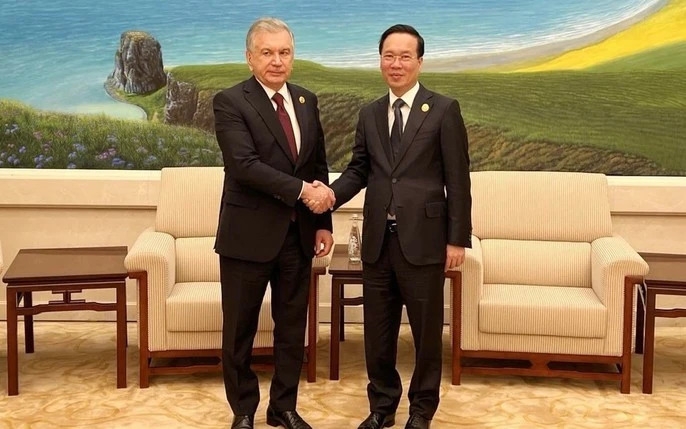Президент Вьетнама Во Ван Тхыонг встретился с Президентом Узбекистана Шавкатом Мирзиёевым