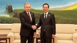 Президент Вьетнама Во Ван Тхыонг встретился с Президентом Узбекистана Шавкатом Мирзиёевым