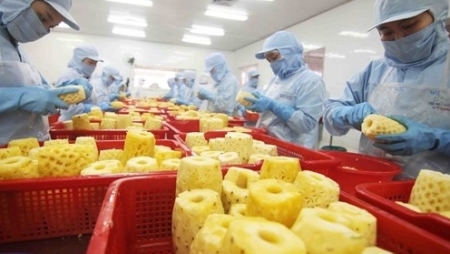 Вьетнамские фирмы стремятся продвигать экспорт сельхозпродукции в Россию и ЕАЭС