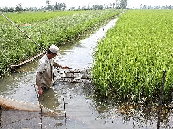 Укрепление сотрудничества для устойчивого развития дельты Меконга