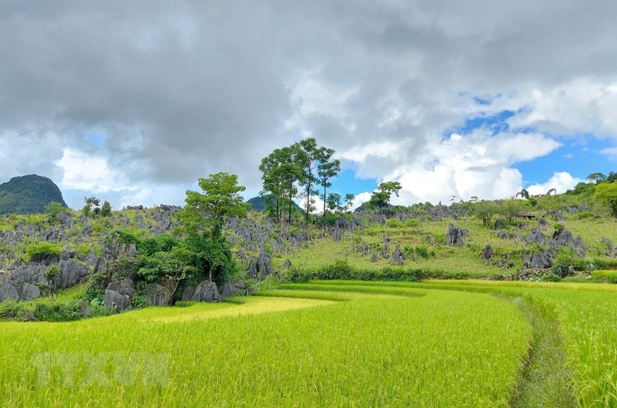 Туристический потенциал горного уезда Туачуа провинции Дьенбьен