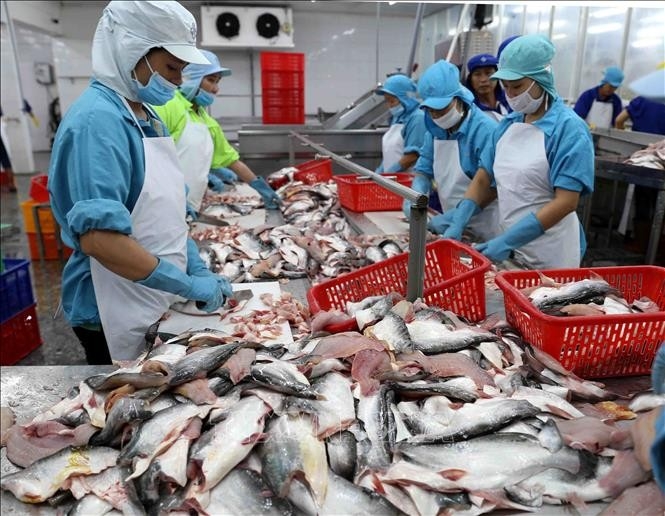 Доля вьетнамских морепродуктов на рынке Латинской Америке увеличилась благодаря CPTPP