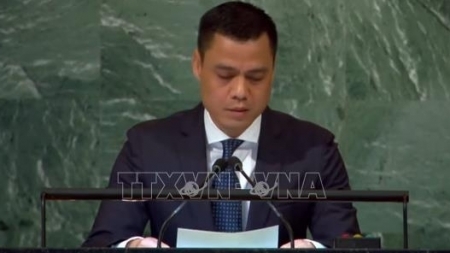Вьетнам призвал к реформированию Совета Безопасности ООН