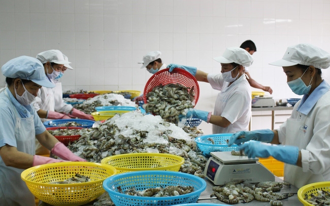 Экспорт рыбной продукции полностью восстанавливается после COVID-19