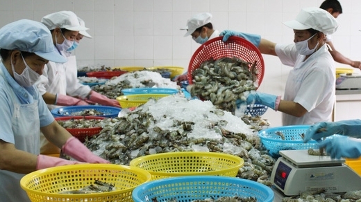 Экспорт рыбной продукции полностью восстанавливается после COVID-19