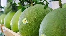 Еще пять вьетнамских фруктов получили разрешение на официальный экспорт в 2022 году