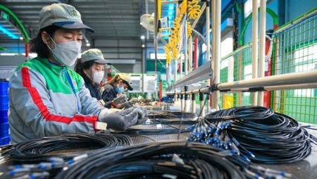 АБР прогнозирует рост Вьетнама на 7,5% в 2022 году
