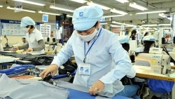 Ожидается, что экспорт швейно-текстильных изделий в следующем году составит 47-48 миллиардов долларов США