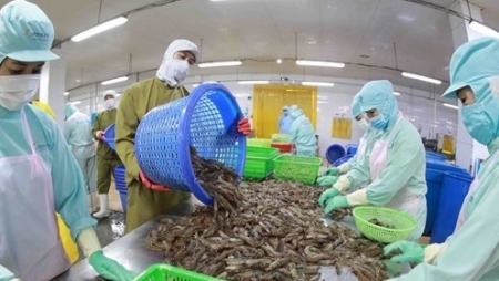 Вьетнамские креветки упорно удерживают рынок