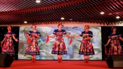 В Дананге состоялся культурный обмен между гражданами Вьетнама и России