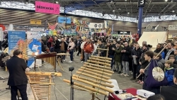 Вьетнамский стенд в центре внимания на Азиатской ярмарке во Франции