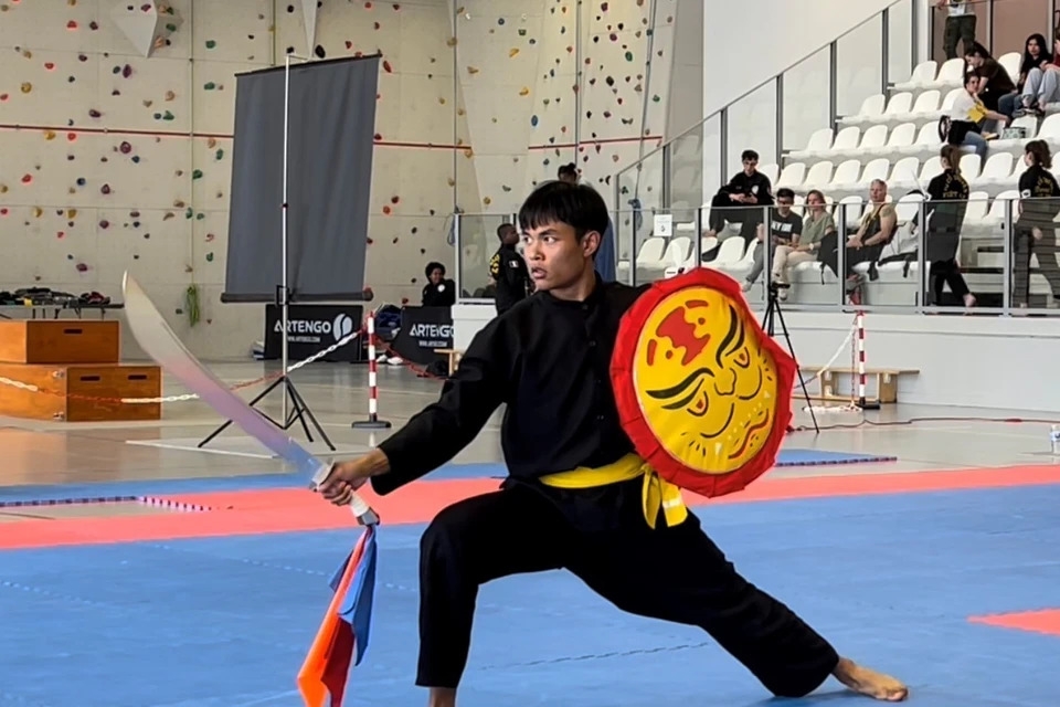 Продвижение вьетнамского традиционного боевого искусства в Швейцарии