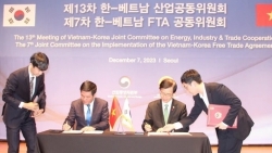 Вьетнам и Южная Корея намерены развивать торговове, промышленное и энергетическое сотрудничество