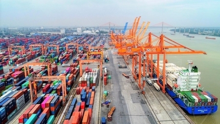 развитие логистических услуг вьетнама