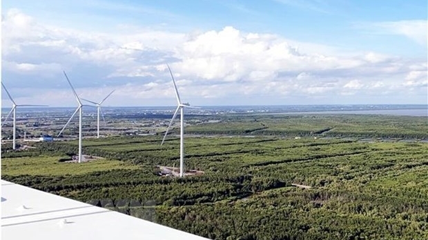 Оффшорная ветроэнергетика во Вьетнаме привлекает иностранных инвесторов