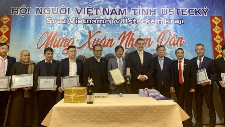 Продвижение имиджа вьетнамской диаспоры в Чехии