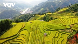 Британская газета предлагает серию туров во Вьетнаме