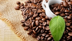 В первом квартале 2022 г. экспорт кофе увеличился более чем на 50%