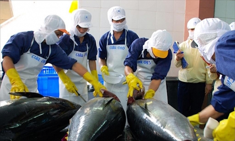 Саудовская Аравия стала третьим по величине экспортным рынком вьетнамского тунца