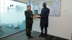 ООН обсуждает с Министерством обороны Вьетнама операции по поддержанию мира