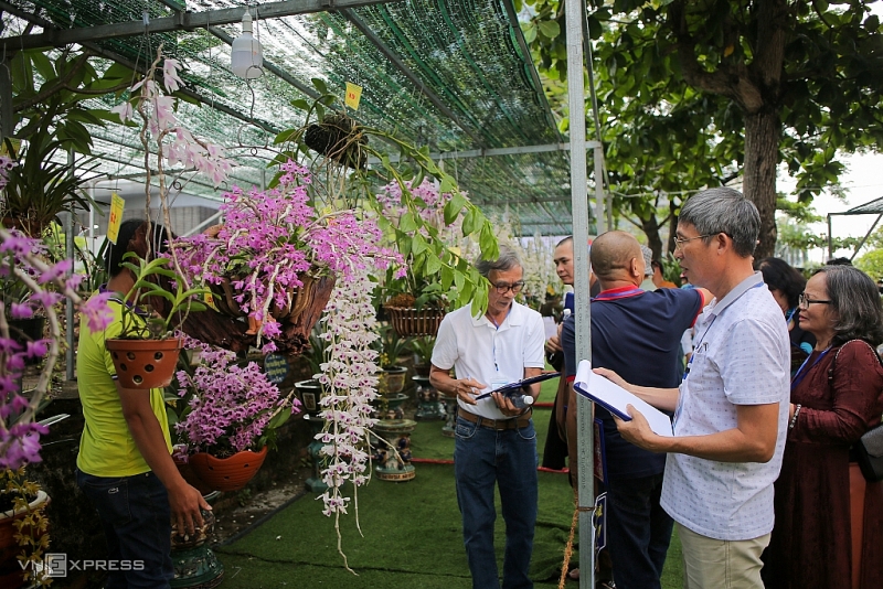Дананг впервые после окончания эпидемии COVID-19 провел Фестиваль орхидей