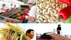 Объединение усилий для вывода сельхозпродукции Вьетнама на мировой рынок