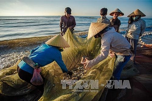 Тханьхоа преодолеет «жёлтую карточку», чтобы помочь рыбакам эксплуатировать морепродукты