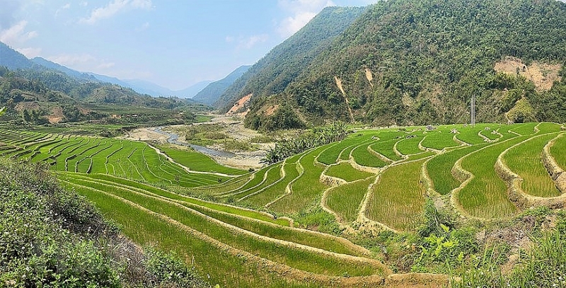 Красота террасных полей в высокогорных приграничных деревнях Вьетнама