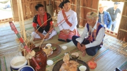 Провинция Биньдинь сохраняет традиционную культуру народностей