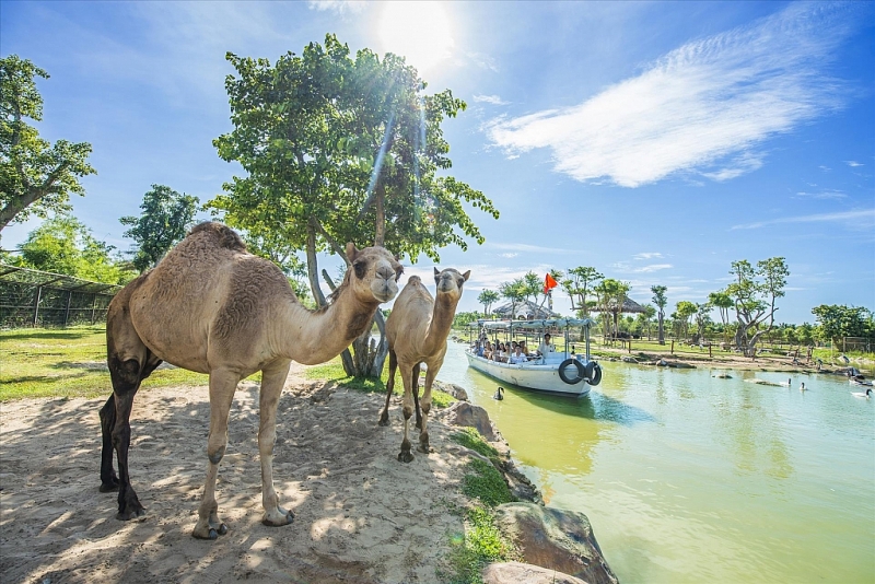 Курорт Vinpearl Resort & Golf Nam Hoi An  —  идеальное место для всех возрастов