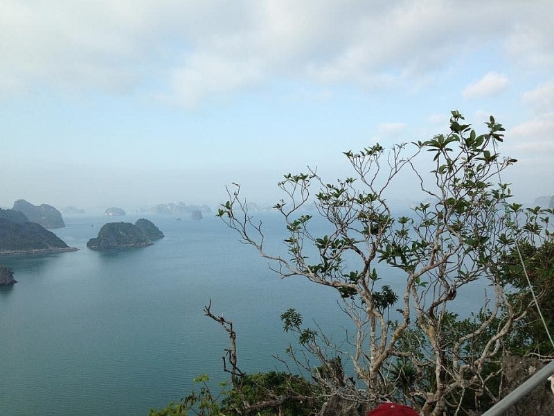 Живописная красота острова Баньсыа в провинции Куангнинь