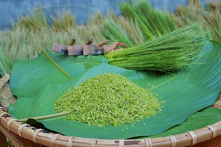Аромат молодого клейкого риса кома в пору золотой осени в высокогорном уезде Бакха