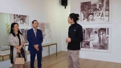 Художник вьетнамского происхождения отражает образ Родины в своих картинах