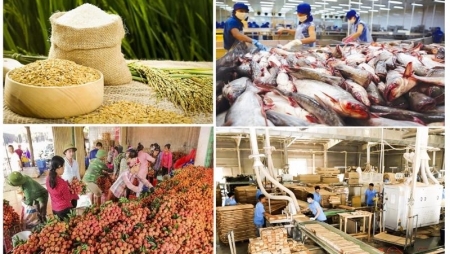Экспорт вьетнамской продукции сельского, лесного и рыбного хозяйства растёт
